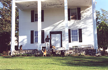 Dog boarding and kennels